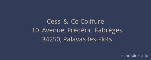 Cess  &  Co Coiffure