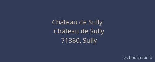 Ch&acirc;teau de Sully