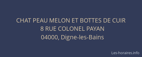 CHAT PEAU MELON ET BOTTES DE CUIR