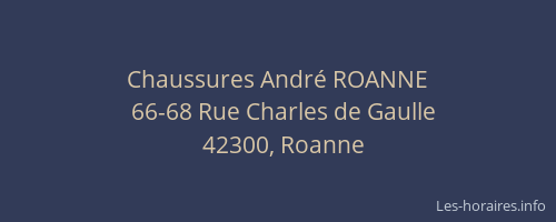 Chaussures André ROANNE