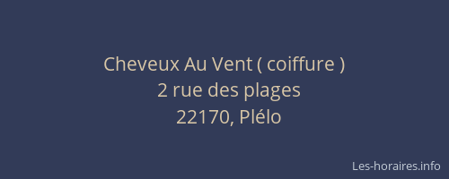 Cheveux Au Vent ( coiffure )