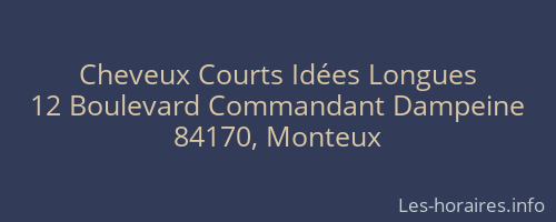 Cheveux Courts Idées Longues