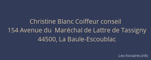 Christine Blanc Coiffeur conseil