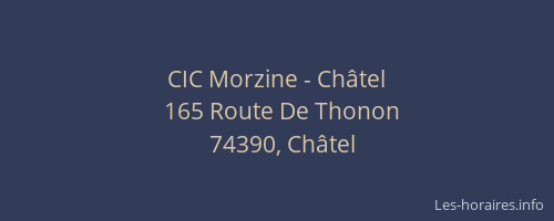 CIC Morzine - Ch&acirc;tel