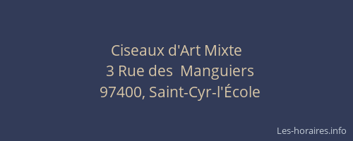 Ciseaux d'Art Mixte