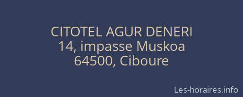 CITOTEL AGUR DENERI