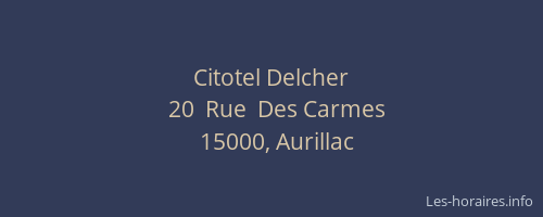 Citotel Delcher