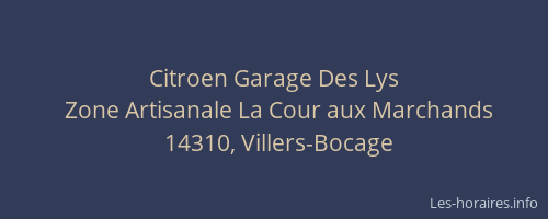 Citroen Garage Des Lys