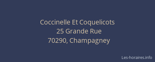 Coccinelle Et Coquelicots