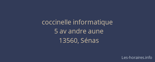 coccinelle informatique