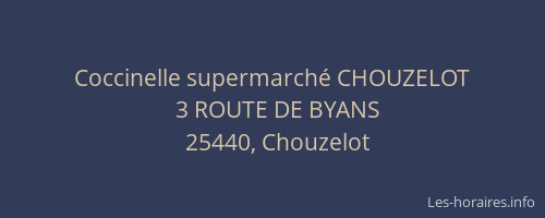 Coccinelle supermarch&eacute; CHOUZELOT