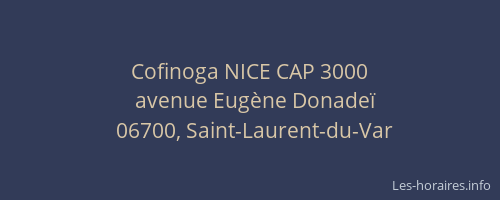 Cofinoga NICE CAP 3000