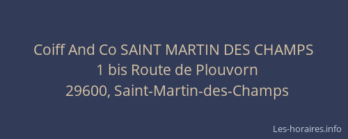 Coiff And Co SAINT MARTIN DES CHAMPS