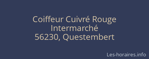 Coiffeur Cuivré Rouge