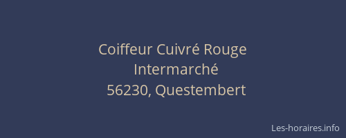 Coiffeur Cuivré Rouge