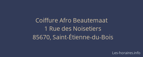 Coiffure Afro Beautemaat