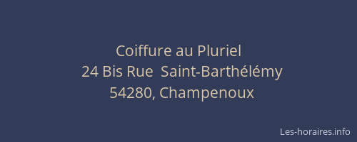 Coiffure au Pluriel