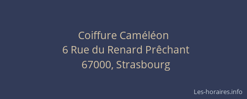 Coiffure Caméléon