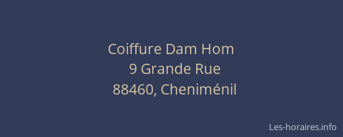 Coiffure Dam Hom