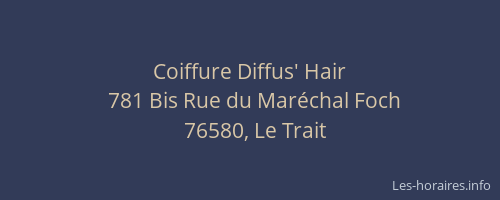 Coiffure Diffus' Hair