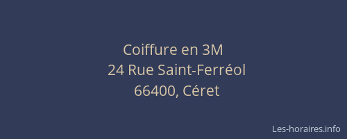 Coiffure en 3M