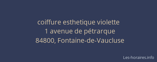 coiffure esthetique violette