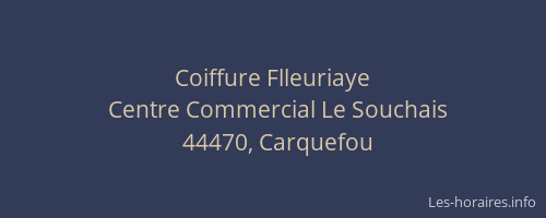Coiffure Flleuriaye