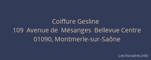 Coiffure Gesline
