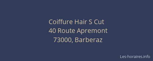 Coiffure Hair S Cut