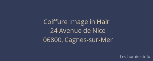 Coiffure Image in Hair