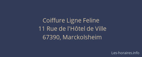 Coiffure Ligne Feline