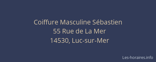 Coiffure Masculine S&eacute;bastien