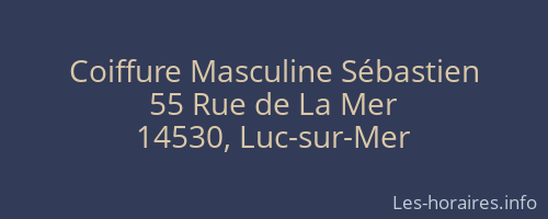 Coiffure Masculine Sébastien