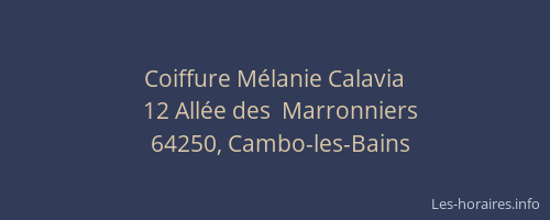 Coiffure M&eacute;lanie Calavia