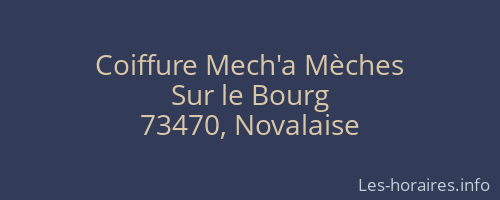 Coiffure Mech'a Mèches