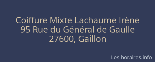 Coiffure Mixte Lachaume Irène