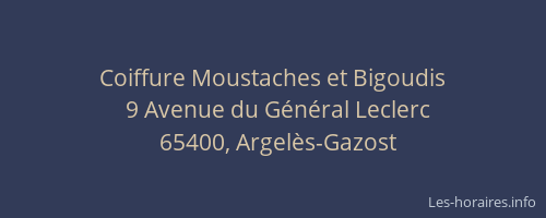 Coiffure Moustaches et Bigoudis