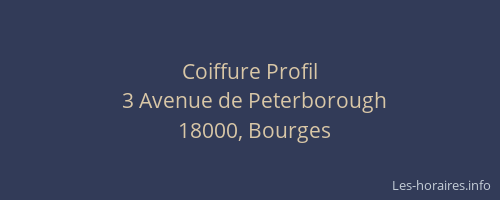 Coiffure Profil