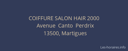 COIFFURE SALON HAIR 2000