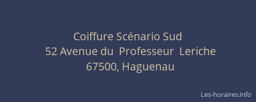 Coiffure Scénario Sud