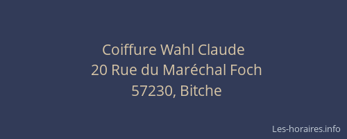 Coiffure Wahl Claude