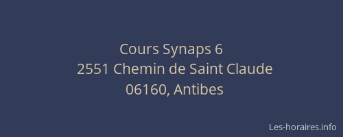 Cours Synaps 6
