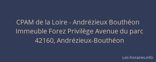 CPAM de la Loire - Andrézieux Bouthéon