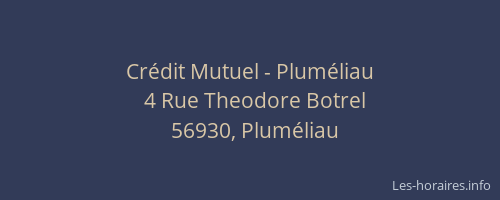 Cr&eacute;dit Mutuel - Plum&eacute;liau