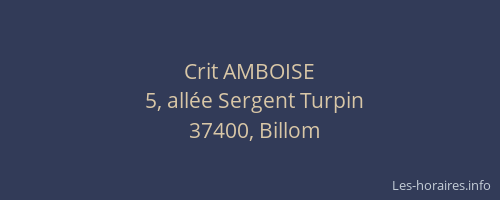 Crit AMBOISE