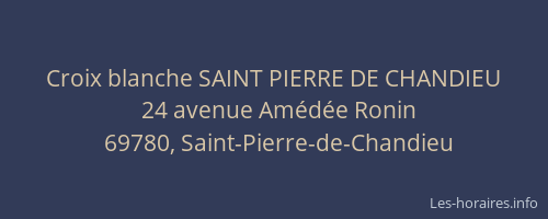 Croix blanche SAINT PIERRE DE CHANDIEU