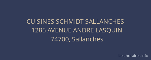 CUISINES SCHMIDT SALLANCHES