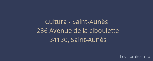 Cultura - Saint-Aunès