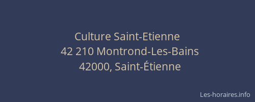 Culture Saint-Etienne