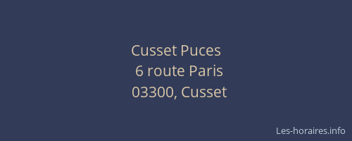 Cusset Puces